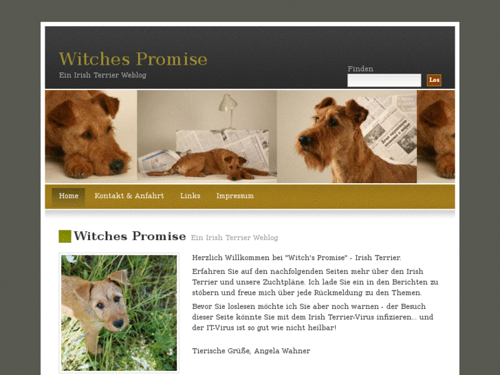 www.witches-promise-irish-terrier.de