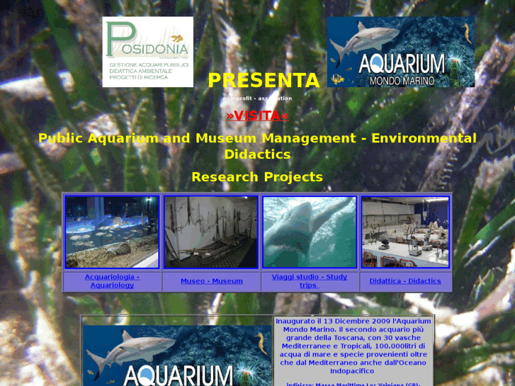 www.acquario-posidonia.com