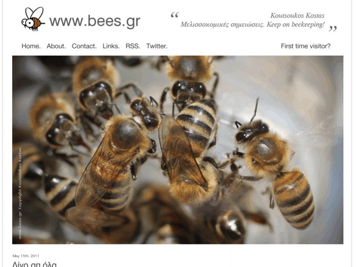 www.bees.gr