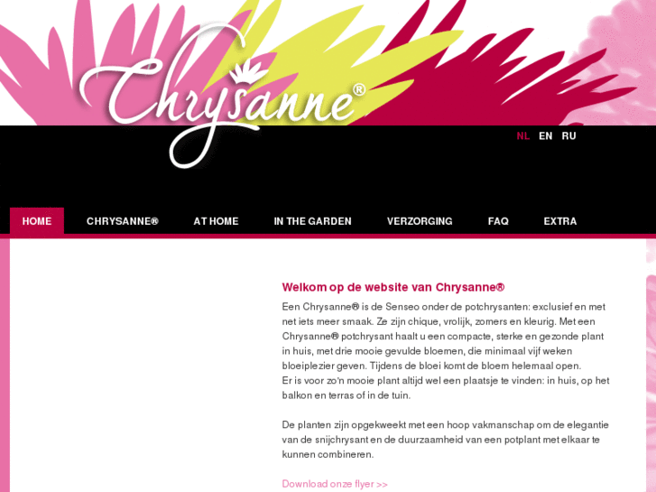 www.chrysanne.info