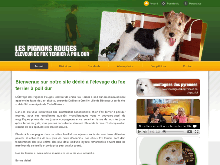 www.foxterrier.ca