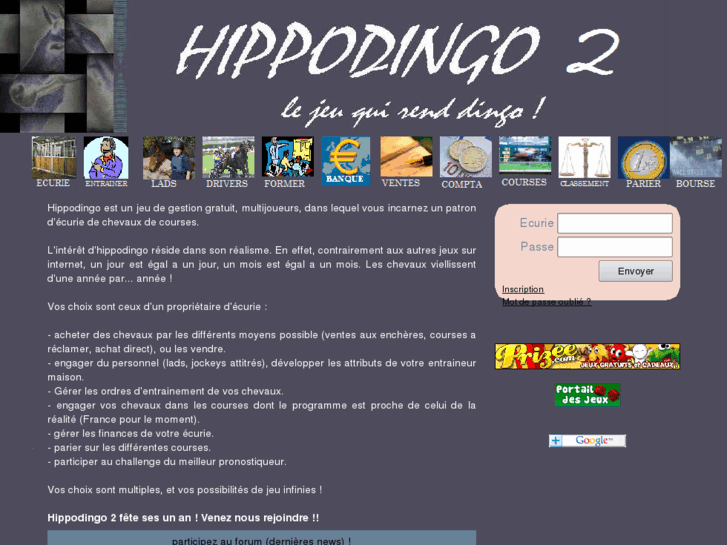 www.hippodingo.com