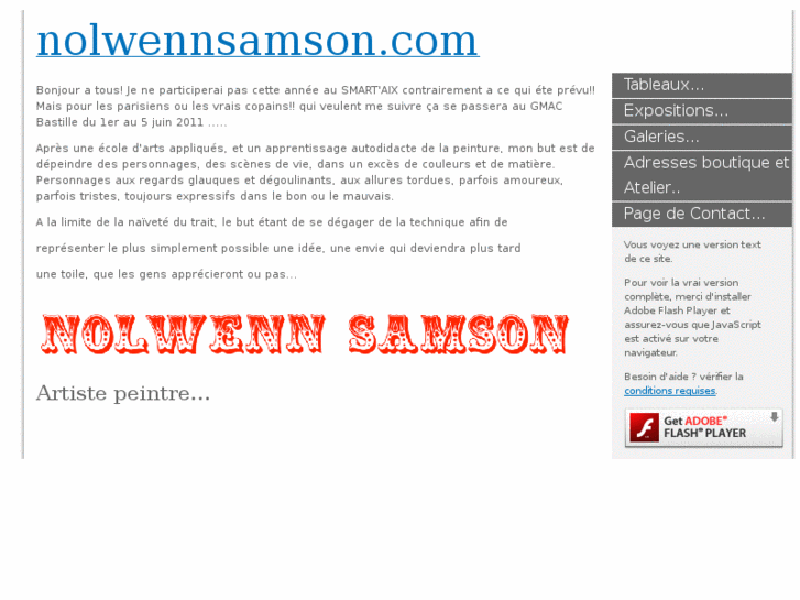 www.nolwennsamson.com