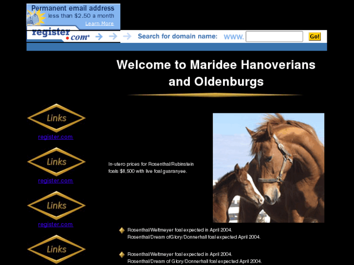 www.oldenburghorses.net