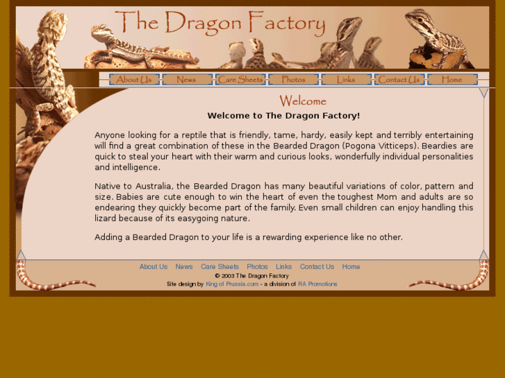 www.thedragonfactory.com