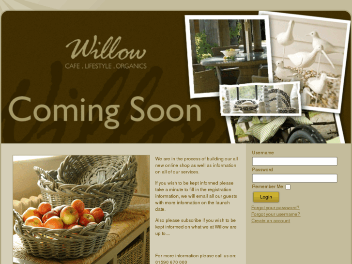 www.willowlifestyle.com