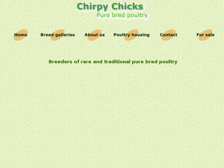 www.chirpychicks.com