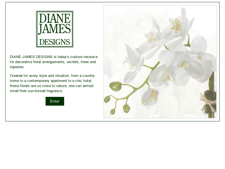 www.dianejames.com