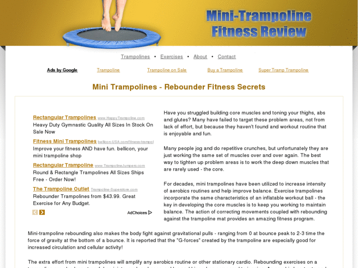 www.mini-trampoline-exercises.com