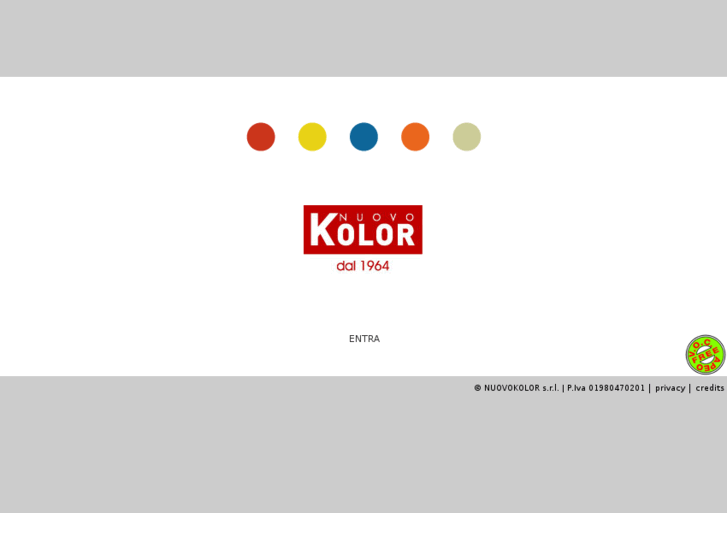 www.nuovokolor.com