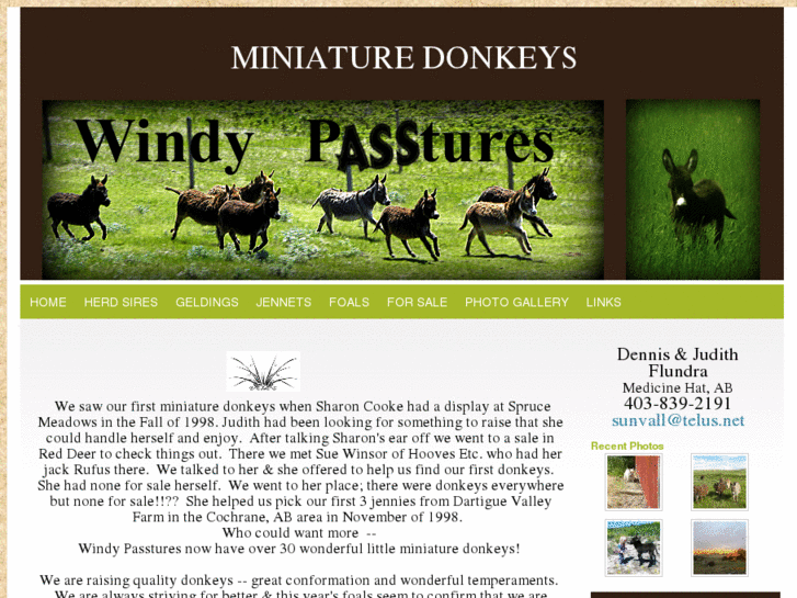 www.windypasstures.com