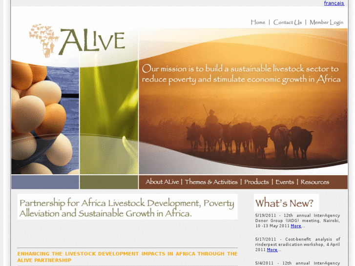 www.alive-online.org