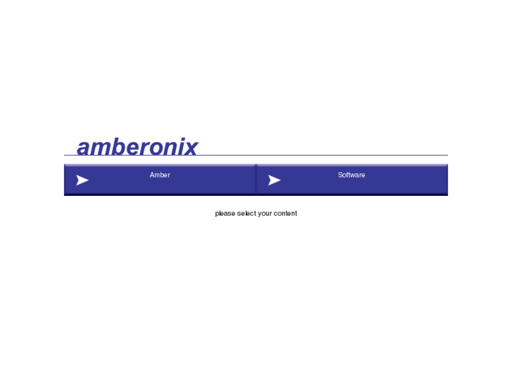 www.amberonix.com