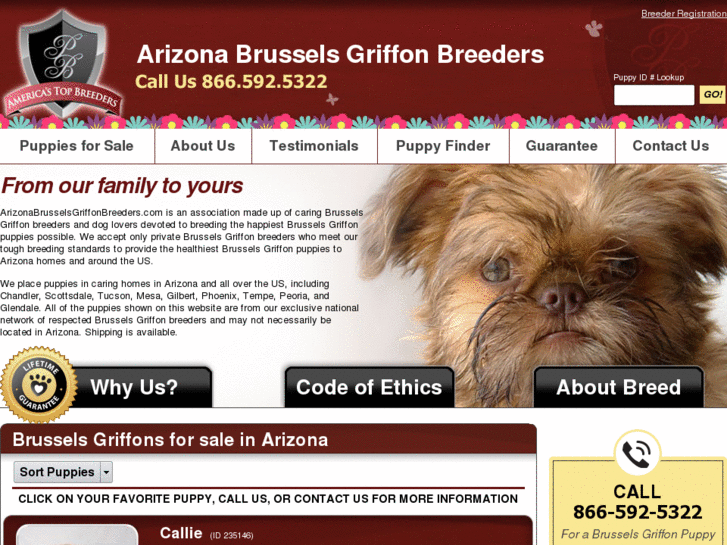 www.arizonabrusselsgriffonbreeders.com