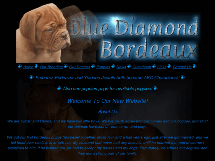 www.bluediamondbordeaux.com