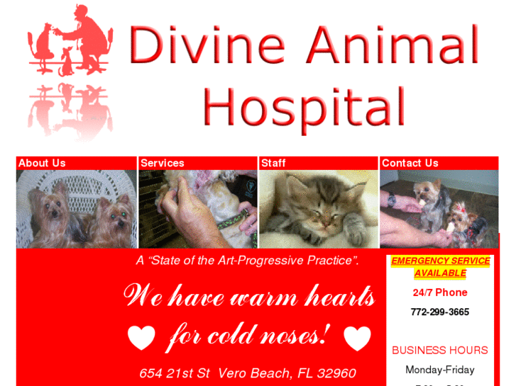 www.divineanimalhospital.com