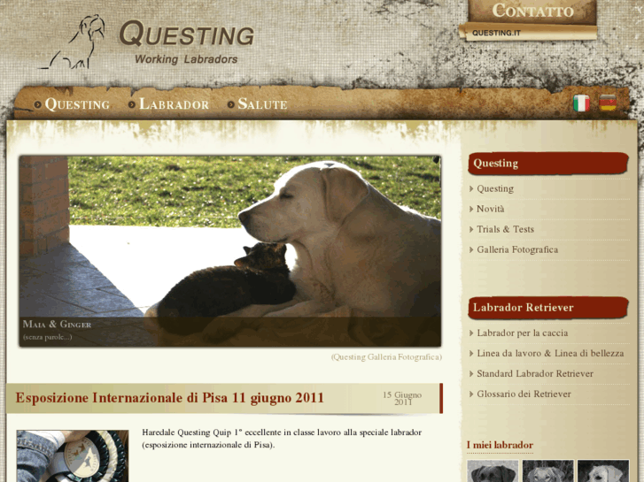 www.questing.it