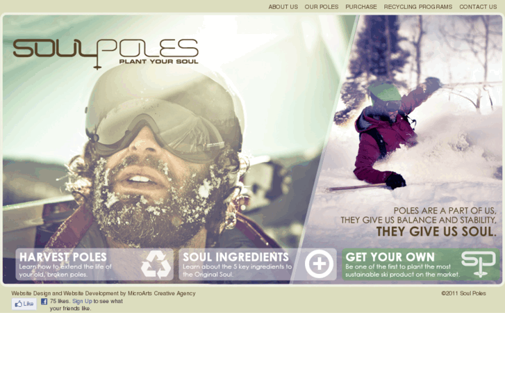 www.soulpoles.com