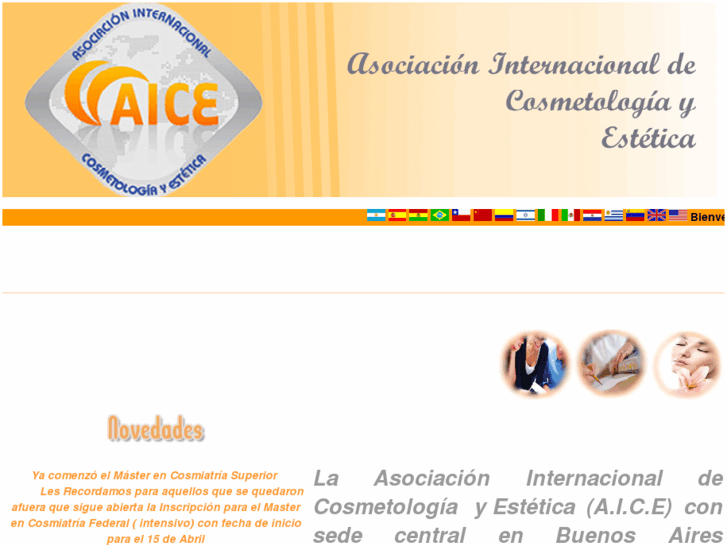 www.cursosaice.com