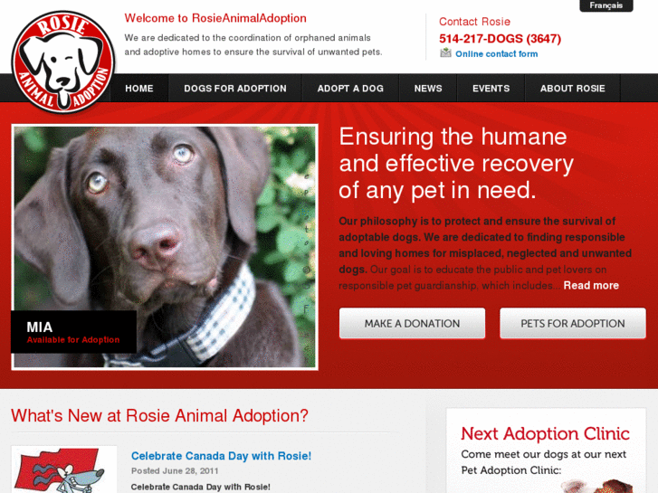 www.rosieanimaladoption.com