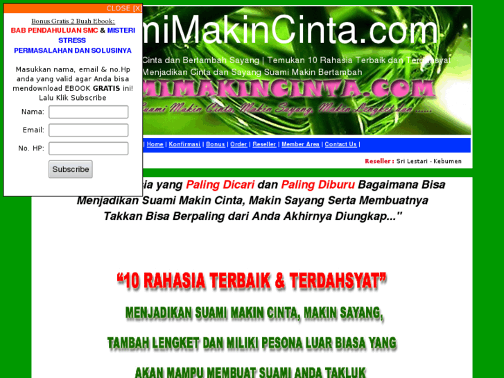 www.suamimakincinta.com