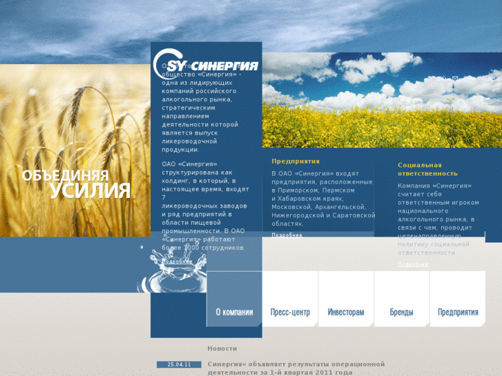 www.sygroup.ru