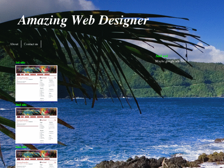 www.amazingwebdesigner.net
