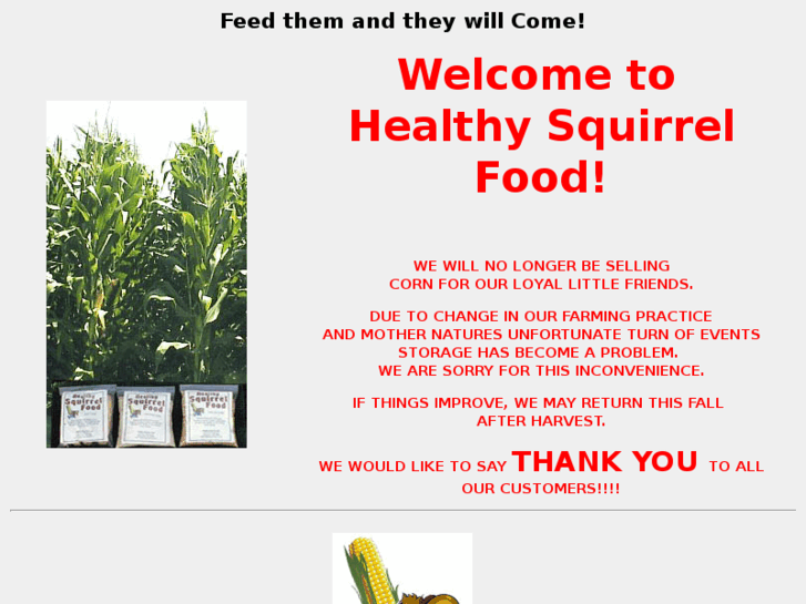 www.healthysquirrelfood.com