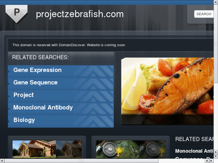 www.projectzebrafish.com
