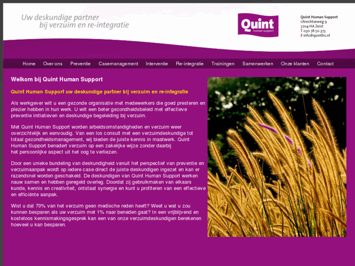 www.quinths.com