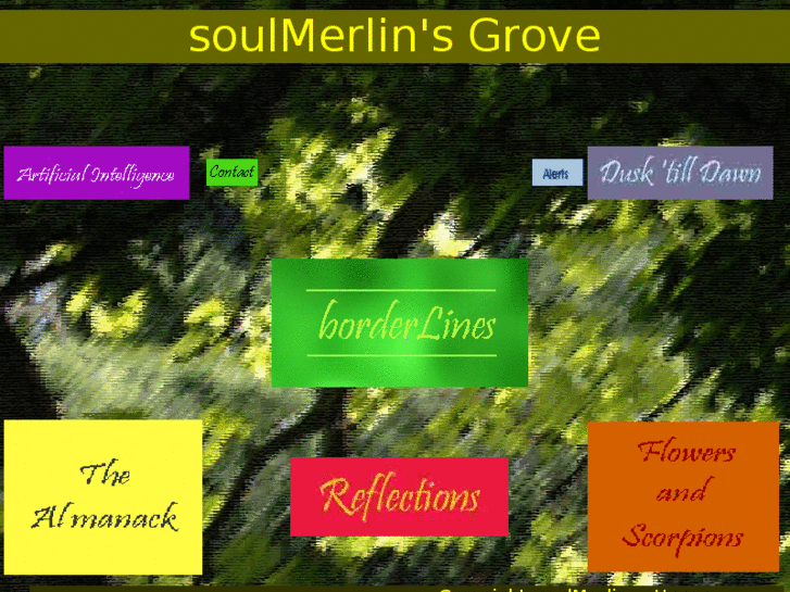 www.soulmerlin.com