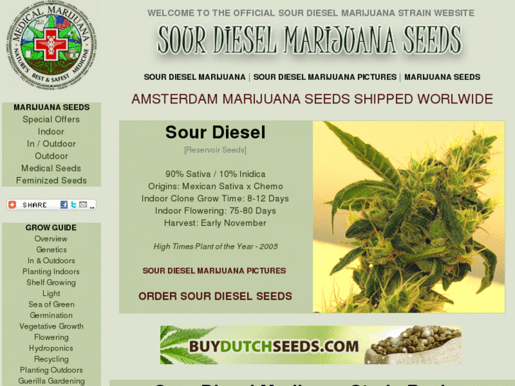 www.sourdieselseeds.com