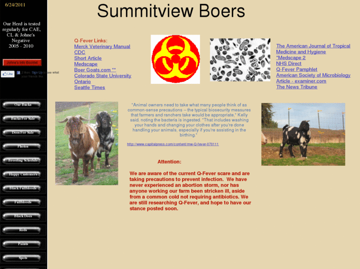 www.summitviewboers.com