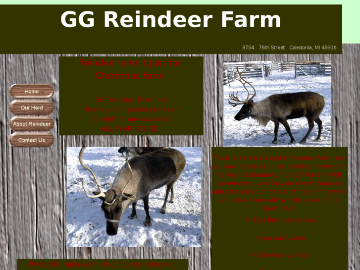 www.ggreindeer.com