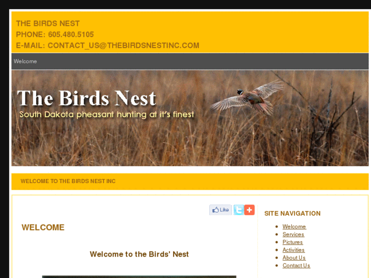 www.thebirdsnestinc.com