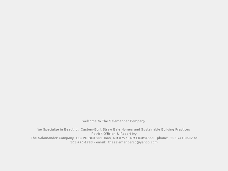 www.thesalamandercompany.com