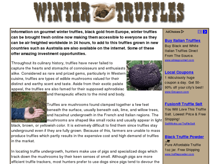 www.wintertruffles.com