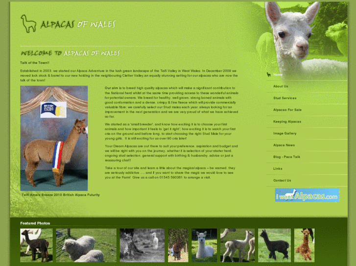 www.alpacasofwales.com