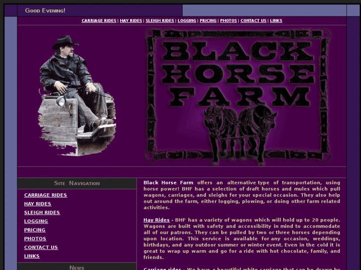 www.blackhorsefarmcarriage.com