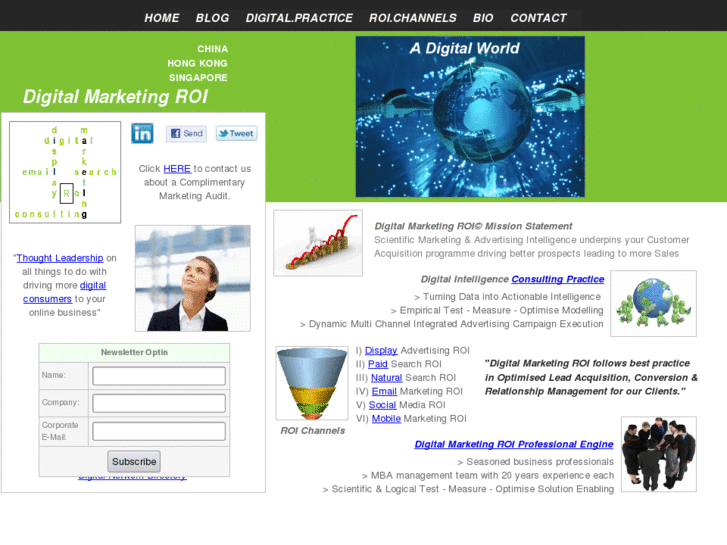 www.digitalmarketingroi.com