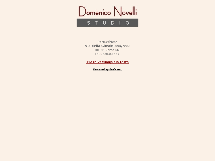 www.domeniconovelli.com