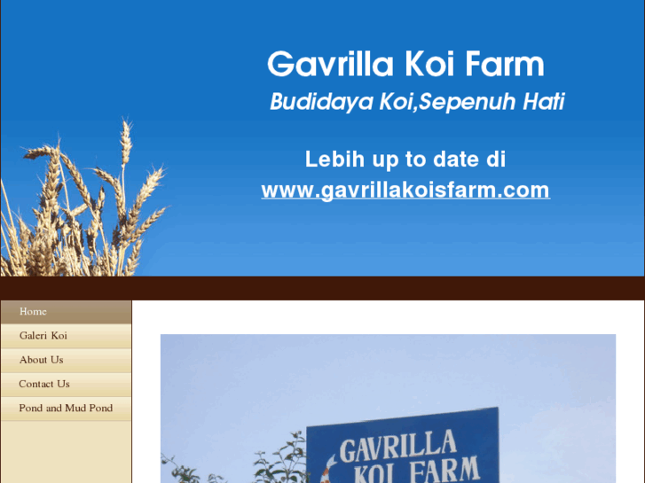 www.gavrillakoifarm.com
