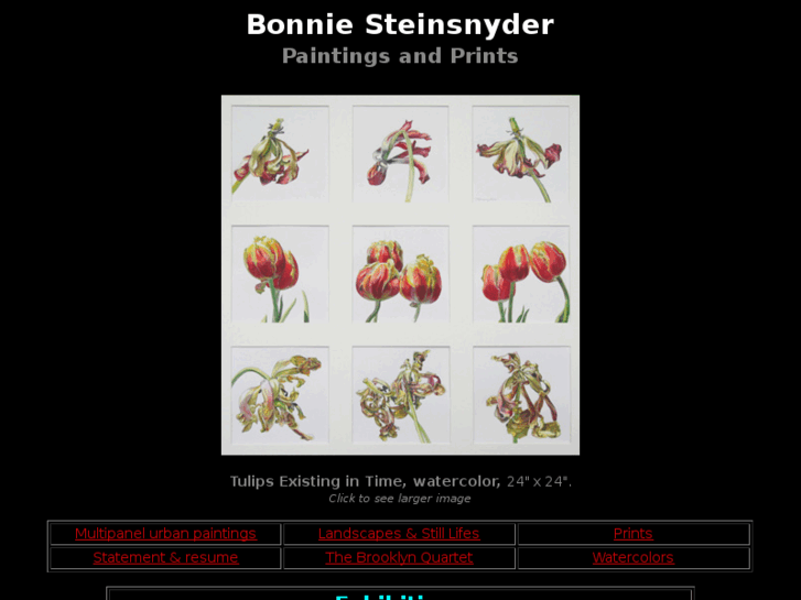 www.steinsnyder.com