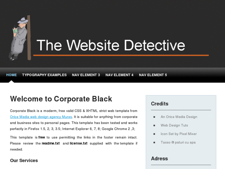 www.thewebsitedetective.com