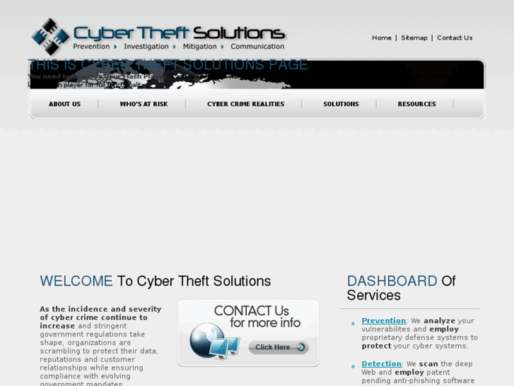 www.cybertheftsolutions.com