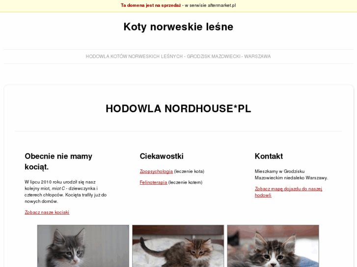 www.kotynorweskie.pl