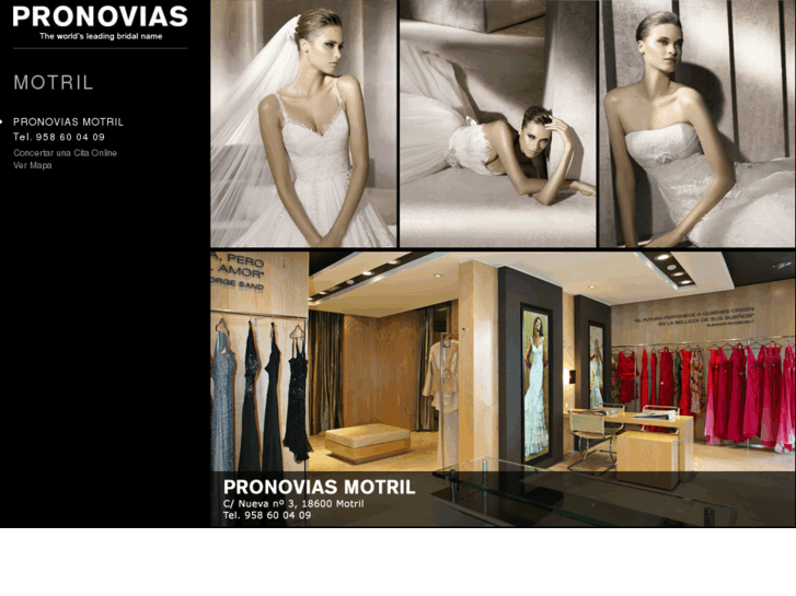 www.pronoviasmotril.es