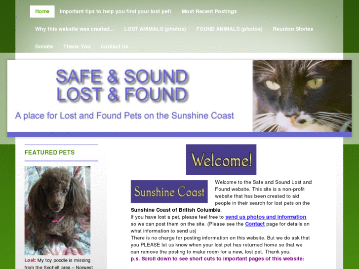 www.safeandsoundlostandfound.org