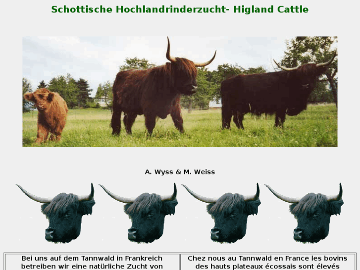 www.schottische-hochlandrinderzucht.com