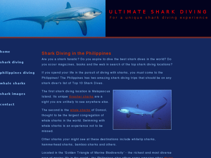 www.sharkdivingphilippines.com